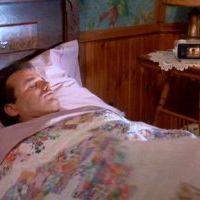 Bilder Und täglich grüßt das Murmeltier