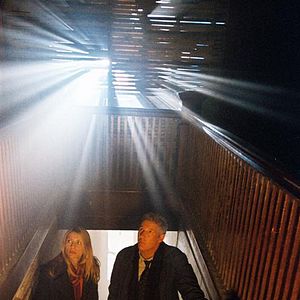 Bilder The Flock - Dunkle Triebe