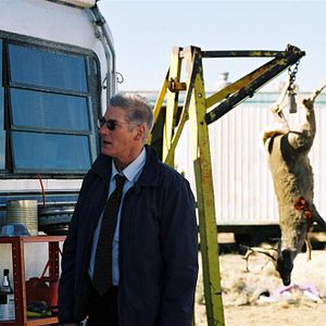 Bilder The Flock - Dunkle Triebe