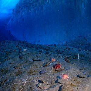 Bilder Begegnungen am Ende der Welt