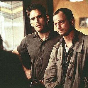 Bilder Albino Alligator