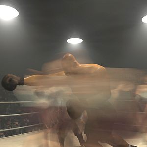 Bilder Der Boxer 3D