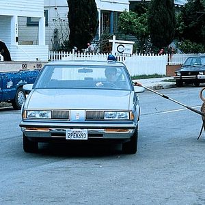 Bilder Scott & Huutsch