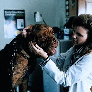 Bilder Scott & Huutsch