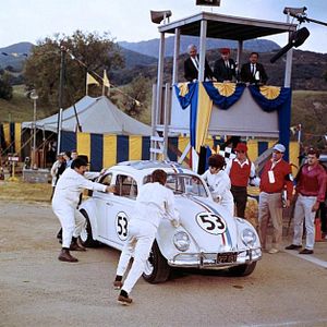 Bilder Ein toller Käfer