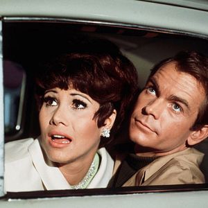 Bilder Ein toller Käfer