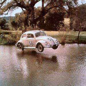 Bilder Ein toller Käfer