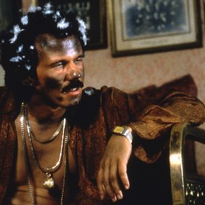 Bilder Schwarze Katze, Weißer Kater