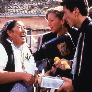 Bilder Schwarze Katze, Weißer Kater