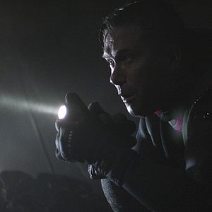 Bilder Der weiße Hai in Venedig