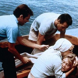 Bilder Der weiße Hai 2