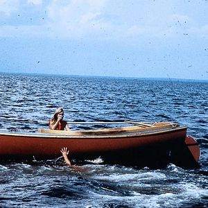 Bilder Der weiße Hai 2