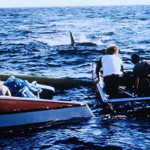 Bilder Der weiße Hai 2