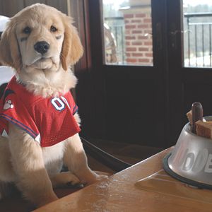 Bilder Space Buddies (TV)