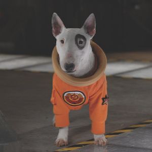 Bilder Space Buddies (TV)