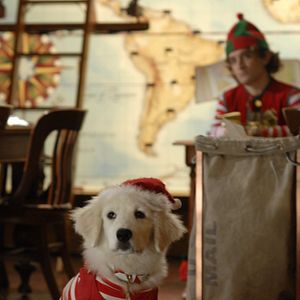 Bilder Santa Buddies - Auf der Suche nach Santa Pfote