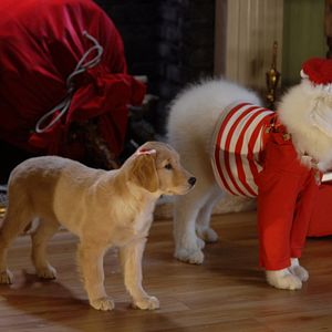 Bilder Santa Buddies - Auf der Suche nach Santa Pfote