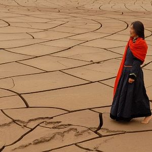 Bilder Das Lied von den zwei Pferden