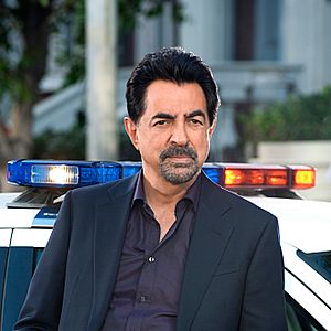 Bilder Joe Mantegna