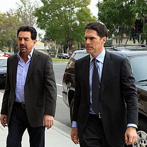 Bilder Thomas Gibson
