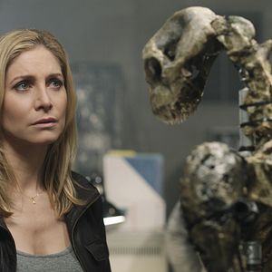 Bilder V – Die Rückkehrer