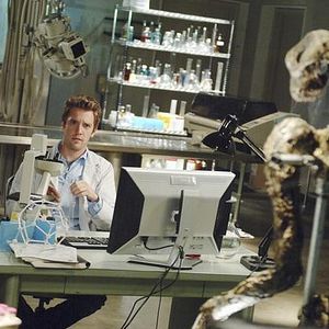 Bilder V – Die Rückkehrer