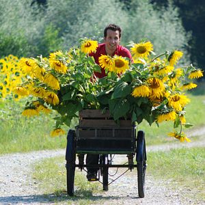 Bilder Willi Weitzel