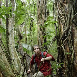 Bilder Willi Weitzel