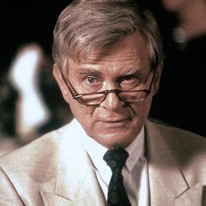 Bilder Vicco von Bülow