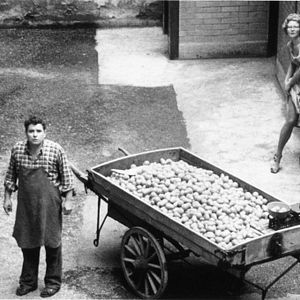 Bilder Der Händler der vier Jahreszeiten