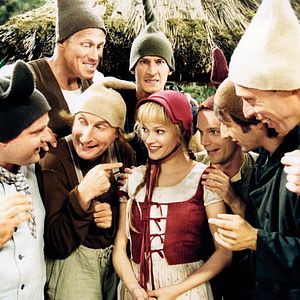 Bilder 7 Zwerge - Männer allein im Wald