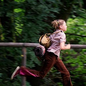 Bilder Der Schatz der weißen Falken