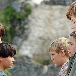 Bilder Der Schatz der weißen Falken