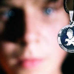 Bilder Der Schatz der weißen Falken