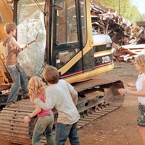 Bilder Die wilden Hühner