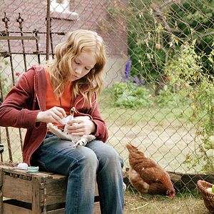 Bilder Die wilden Hühner