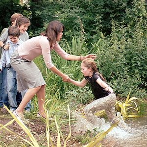 Bilder Die wilden Hühner