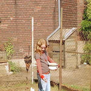 Bilder Die wilden Hühner