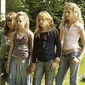 Bilder Die wilden Hühner