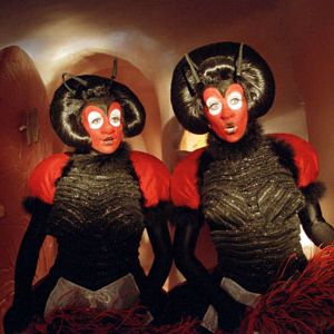 Bilder Erik im Land der Insekten