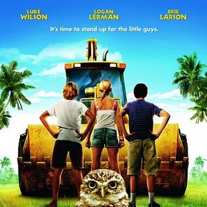 Bilder Eulen - Kleine Freunde in großer Gefahr