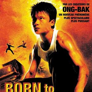 Bilder Born to Fight