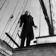 Bilder Nosferatu, eine Symphonie des Grauens