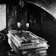 Bilder Nosferatu, eine Symphonie des Grauens