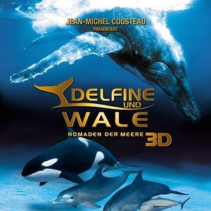 Bilder Delfine und Wale 3D
