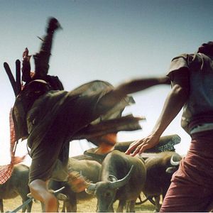 Bilder Born To Fight - Dynamite Warrior