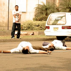 Bilder Perro come perro