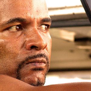 Bilder Perro come perro