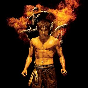 Bilder Fighting Tiger