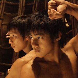 Bilder Fighting Tiger